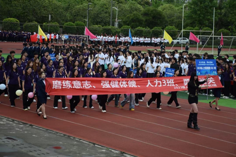 图片17