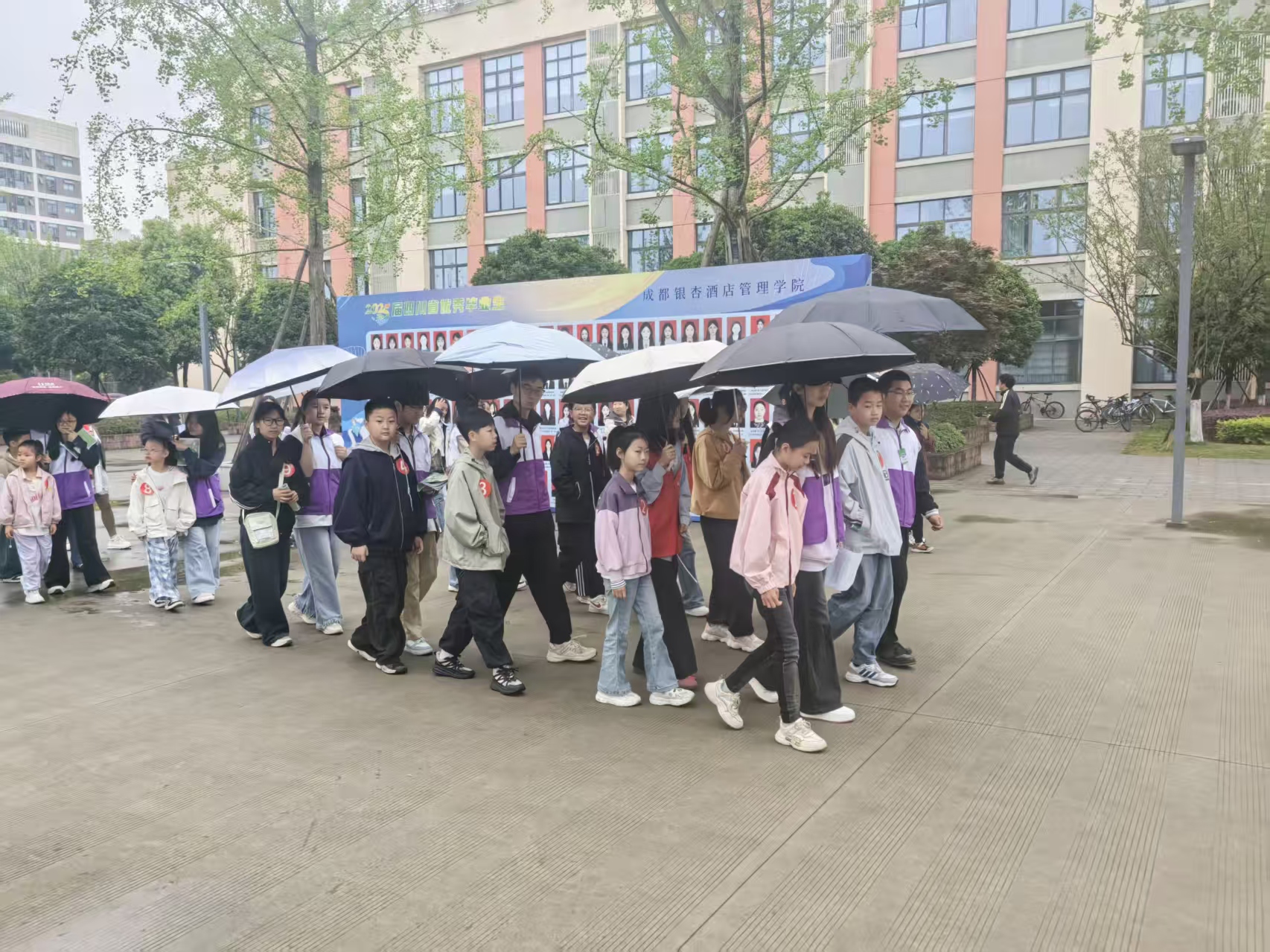 银杏逐光，知行探途活动图片 3