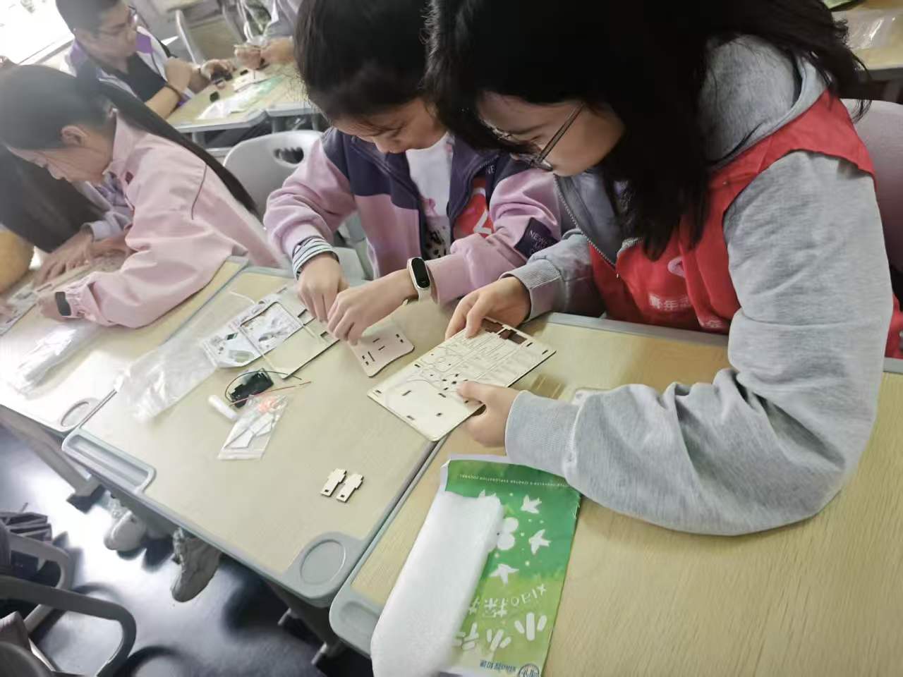 银杏逐光，知行探途活动图片13