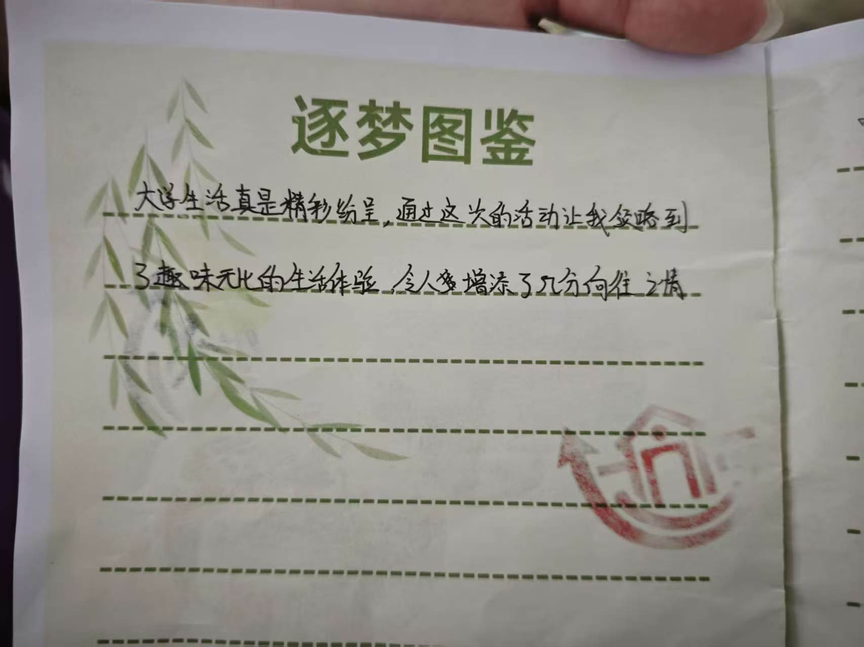 银杏逐光，知行探途活动图片16