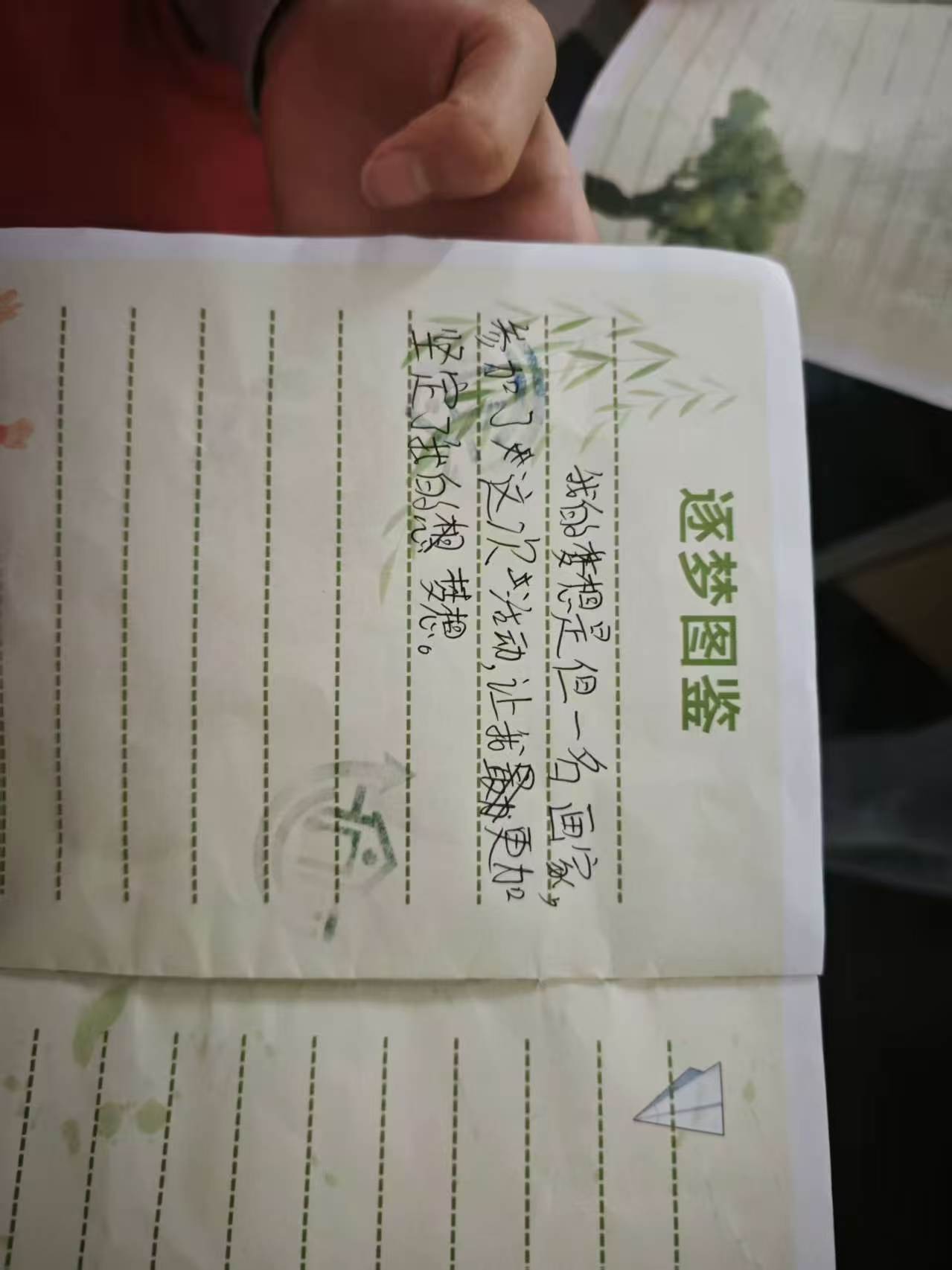 银杏逐光，知行探途活动图片17