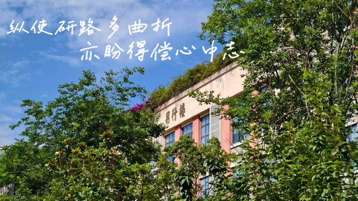 图片1 图片1